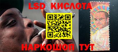 прущие грибы Краснокаменск