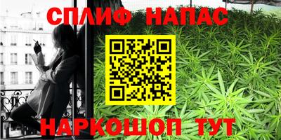 крисы Будённовск