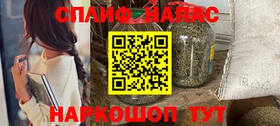 крисы Будённовск