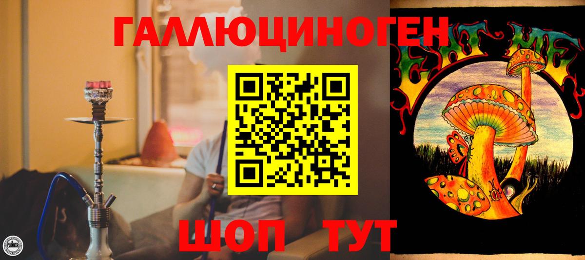Геленджик  Псилоцибиновые грибы Psilocybe  Вход с VPN 